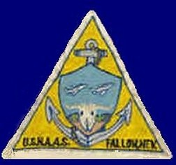 NAAS Fallon Patch