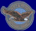 Pratt Whitney Patch